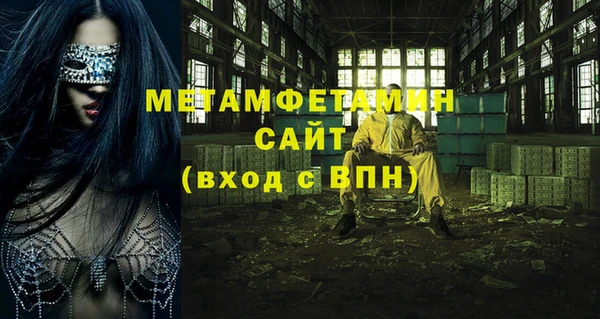 прущие грибы Сафоново