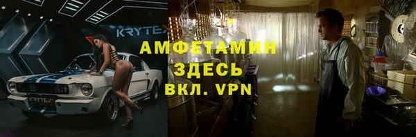 гашик Алексеевка