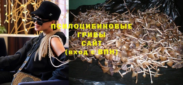 дурь Алзамай