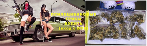 дурь Алзамай