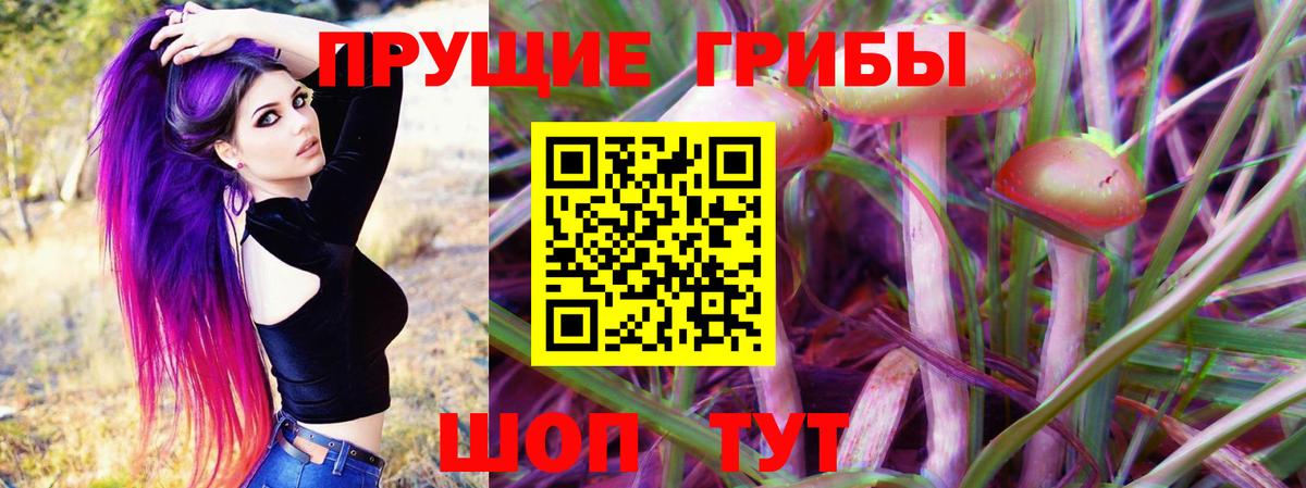 Зеленокумск  Псилоцибиновые грибы Magic Shrooms  Галлюциногенные грибы GOLDEN TEACHER  Вход с VPN 